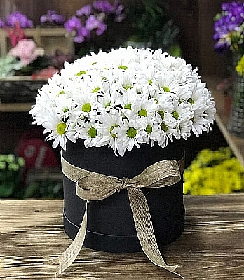 kutu iinde papatyalar