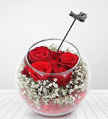 cam fanus iinde gller